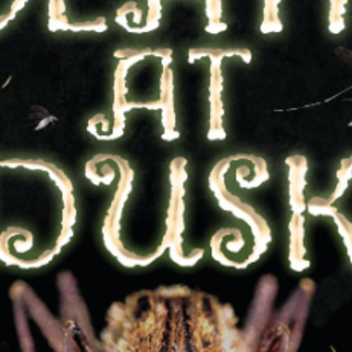 [PDF] Death at Dusk (Demon Hunter) eBook