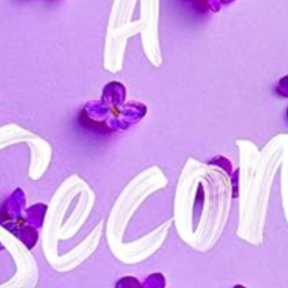 Get Book In a Second (Friendship RI Book