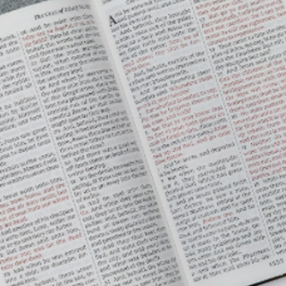 Read Book Holy Bible: King James Version