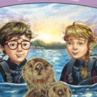 Read Book Sea Otter Sunrise (Magic Tree 