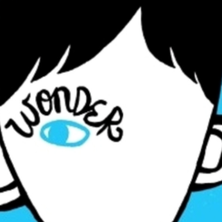 Read PDF Wonder (Wonder #1) by R.J. Pala