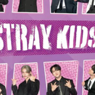 Download Book Stray Kids by Carolyn McHu