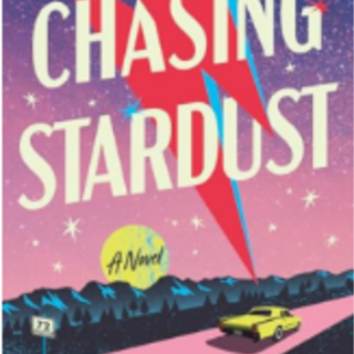 [PDF] Chasing Stardust