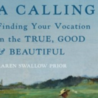 (PDF) Book Free You Have a Calling: Find