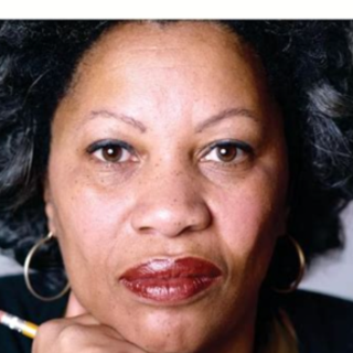 Get PDF Toni at Random: The Iconic Write